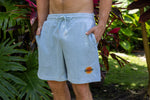 French Terry Shorts